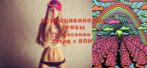 ECSTASY Абинск