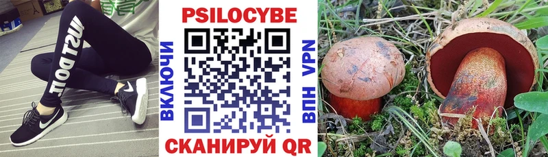 цена MEGA сайт Псилоцибиновые грибы прущие грибы Щёлкино